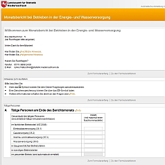 verkleinerte Bildschirm-Hardcopy der Anwendung "IDEV - Internet Datenerhebung im Verbund"