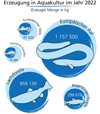 Erzeugung in Aquakultur im Jahr 2022, Europäischer Wels: 91020, Europäischer Aal: 1157500, Gemeiner Karpfen: 75695, Lachsforelle: 858139, Regenbogenforelle: 298678