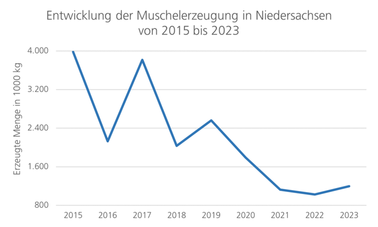 Starker Rückgang der Muschelerzeugung zwischen 2015 und 2022. Von knapp 4000 Tonnen auf rund 1000 Tonnen.