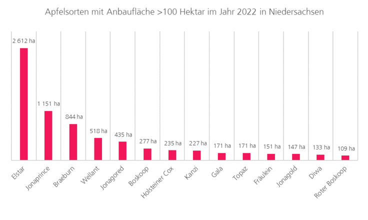 Anbaufläche verschiedener Apfelsorten im Jahr 2022. Elstar: 2612 Hektar, Jonaprince: 1151 Hektar, Brae-burn: 844 Hektar - Balkendiagramm