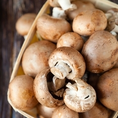 Champignons liegen in einem Holzkorb.