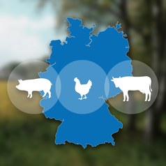 Vieh, Deutschlandkarte
