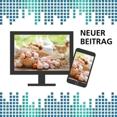 Landwirtschaft: Tiere und tierische Erzeugung in Niedersachsen 2024: Auf einem Bildschirm und einem Smartphone sind im Vordergrund viele Eier und im Hintergrund Hühner zu sehen.