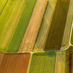 Ein Luftbild mehrerer Felder.